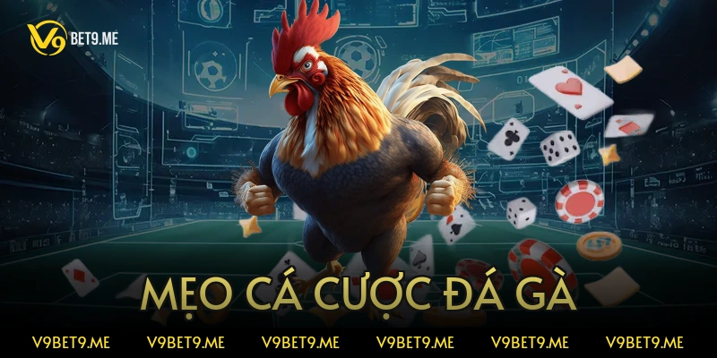 mẹo cá cược đá gà